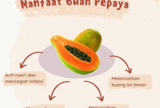 Waw! Ternyata Inilah 7 Manfaat Konsumsi Buah Pepaya