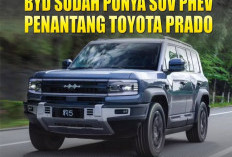 BYD Siapkan SUV Untuk Bersaing Dengan Toyota Prado, Ini Dia Jenis Mobilnya