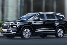 Tren Mobil di 2025: Diketahui Mobil Hybrid Akan Semakin Populer