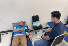 PLN UID S2JB Gelar Donor Darah Massal Peringati Hari Kanker Sedunia dan Bulan K3 Nasional 2025