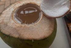  Dia 7 Manfaat Air Kelapa Untuk Kesehatan, Nomor 4 Sumber Energi Alami
