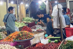 Harga Cabe Turun Drastis