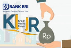 Adanya KUR BRI Debitur Semakin Dipermudah Kembangkan Usaha, Bunga Kecil Pencairan Cepat 