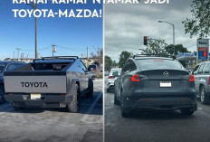 Tesla Ganti Logo Mobil Dengan Merek Lain, Untuk Menghindari Aksi Vandalisme