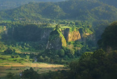 Bukit Ngarai Sianok di Bukit Tinggi, Salah Satu Destinasi Alam Yang Menakjubkan di Indonesia