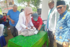 Peringati World Rabies Day 2025, Pemkab Empat Lawang Gelar Vaksinasi Gratis di Taman Pulo Mas