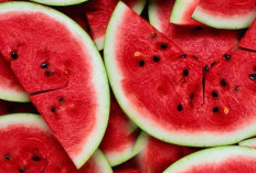 Ternyata Biji Semangka Tanaman Obat sebagai Sumber Energi Tersembunyi untuk Vitalitas Optimal