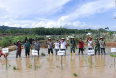 Bupati Empat Lawang Ikuti Tanam Perdana Cetak Sawah Rakyat se-Sumatera Selatan