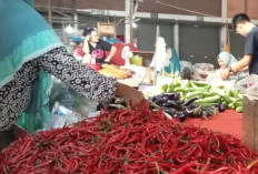 Harga Cabe Makin 'Pedas'