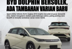 BYD Dolphin Bersolek di Pasar Domestik China, Ini Dia Jenis Mobilnya