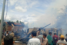 Korsleting Listrik Picu Kebakaran, 15 Rumah di Desa Pagar Jati Empat Lawang Terdampak 