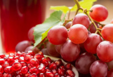 Tanaman Obat Sari Buah Delima dan Anggur Merah, Perisai Antioksidan Kuat untuk Regenerasi Sel - Koranlapos.com