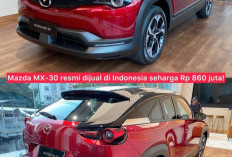 Mazda Luncurkan MX 30,  Ini Dia Tampilan Terbarunya