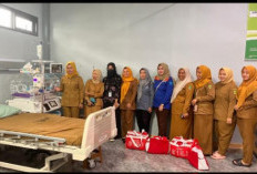 Dinas Sosial Empat Lawang Pastikan Perlindungan Bayi yang Ditemukan di Semak