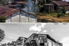 Pabrik Gula Ceper Sempat Berdiri di Kabupaten Klaten, Ini Kisahnya Sudah Tak Beraktifitas