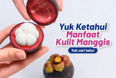Biasa di Buang Ternyata Kulit Manggis Memiliki Khasiat Yang Baik untuk Kesehatan