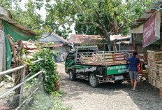 Kasihan Penghuni Asrama Koramil Lahat, Depan Rumah Penuh Tumpukkan Kayu, Sisa Penjual Buah