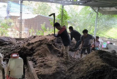 Kerjasama TPS 3R Masda Jaya Desa Arahan Gandeng PT MIP untuk Rehabilitasi Lahan Pasca Tambang