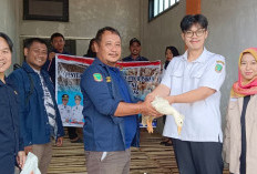 Dinas Sosial Empat Lawang Bagikan Itik Petelur ke Karang Taruna Dukung Ketahanan Pangan