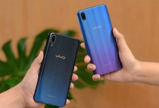 Kisaran Dari Rp 1 Jutaan, Update Harga HP Vivo dan IQOO Februari 2026, Mana Pilihanmu