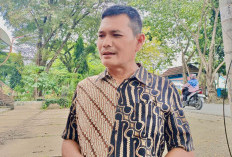 UMKM Dipinta Proaktif Urus Sertifikat Halal Gratis