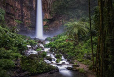 Terletak di Kawasan Pegunungan, Air Terjun Pronojiwo Miliki Keunikan dan Keindahan Alam Yang Menakjubkan