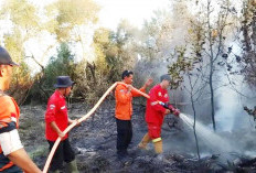 Dua Karhutla Melanda Muara Enim, BPBD Bergerak Cepat Padamkan Api di Gelumbang dan Muara Belida