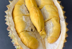 Buah Durian, Buah Yang Kaya Nutrisi