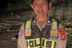 Pohon Tumbang Tutupi Jalinsum di Lahat, Arus Lalu Lintas Sempat Tersendat