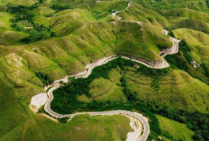 Inilah Pulau Sumba, Permata Tersembunyi Nusa Tenggara Timur