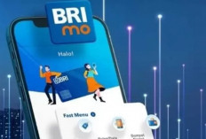 Tak Perlu Khawatir Telat Bayar Listrik ada Brimo Bayar Kapan Saja lewat Handphone 