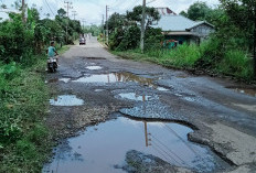 Tancap Rem Kendaraan! Ada Lubang Menganga di Jalan Jarai Area Lahat