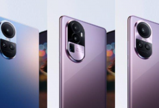 Desain Mewah dan Berkelas, Berikut Rekomendasi HP Terbaik Tahun 2024, OPPO Reno 12G Salah Satunya   