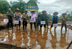Tanam Padi Perdana Program Cetak Sawah di Muara Pinang, Dukung Ketahanan Pangan Nasional
