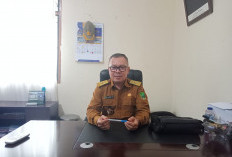 80 Persen Biji Kopi Empat Lawang Dikirim ke Lampung