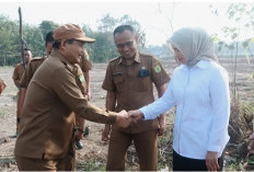 Wabup Muba dan DPRD Sumsel Tinjau Lokasi Pembangunan Sekolah Rakyat, Lahan 8,1 Hektare Disiapkan