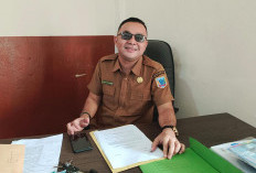 Siap-siap! Perusahaan Wajibkan Buka Lowongan 70 Persen Warga Lahat