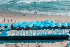 Rekomendasi Tahun 2025, Berikut Wisata Sejarah dan Alam di Bengkulu, Cek Di Sini