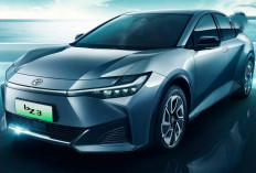 DFSK dan Seres Raih Capaian Positif Sepanjang PEVS 2025