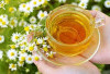 Simak! Teh Chamomile Tanaman Obat Untuk Tubuh dan Mental