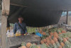 Asam Manis Perjuangan Penjual Nanas di Jalan Pasar Bawah
