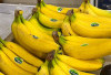 Ternyata Pisang Juga Tanaman Obat untuk Ibu Hamil dan Janin di Kandungan