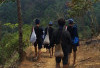 Menyibak Kehidupan Suku Baduy: Harmoni dengan Alam Tanpa Teknologi