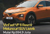 VF 6 Resmi Meluncur di Tanah Air Tanpa Seremoni Khusus, 
