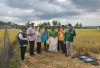 Kementan Pastikan Program Pompanisasi di Lahat, Dinas TPHP Bidik 7 Kecamatan Jadi Lahan Percontohan Pertanian