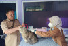Cegah Rabies, 300 Vaksin Siaga