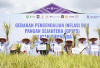 Rakor TPID Sumsel Perkuat Strategi Pengendalian Inflasi Pangan