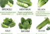 5 Tanaman Obat Sayuran Terbaik untuk Dikonsumsi Usia 50 Tahunan, Ada Kandungan Vitamin, Karbohidrat & Protein 