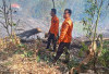 Tiga Hektare Lahan Terbakar