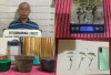 Tiga Pot Ganja di Desa Bandar Aji